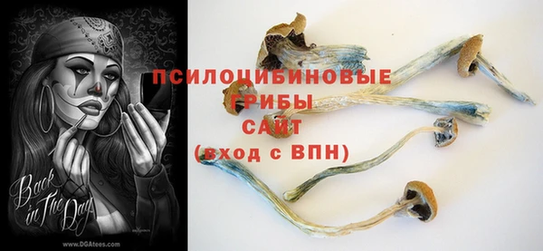 соль курить ск Заволжье