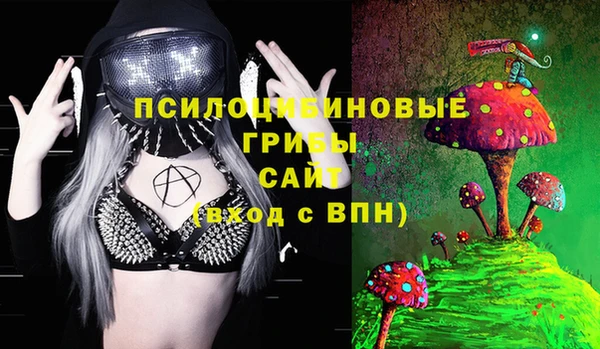 меф Заводоуковск
